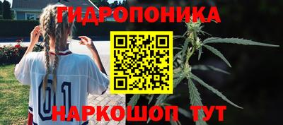 стаф Чапаевск