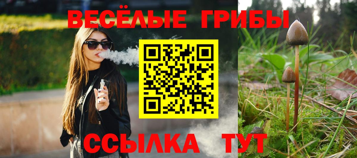 Братск  Галлюциногенные грибы Psilocybe  Вход с VPN  Галлюциногенные грибы мицелий 