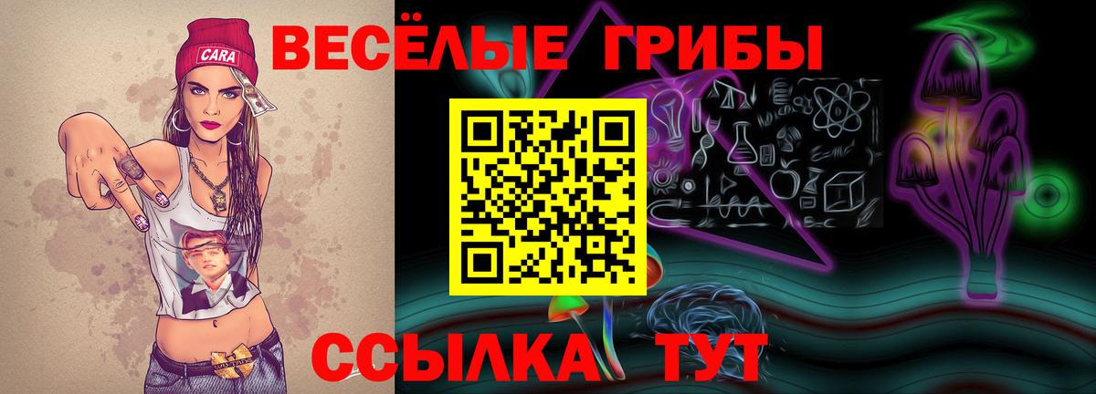 Галлюциногенные грибы прущие грибы Братск